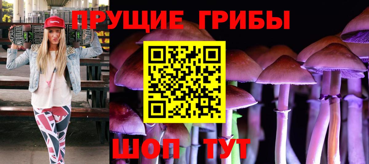Ачинск  Псилоцибиновые грибы Cubensis  Вход с VPN  Псилоцибиновые грибы Psilocybine cubensis 