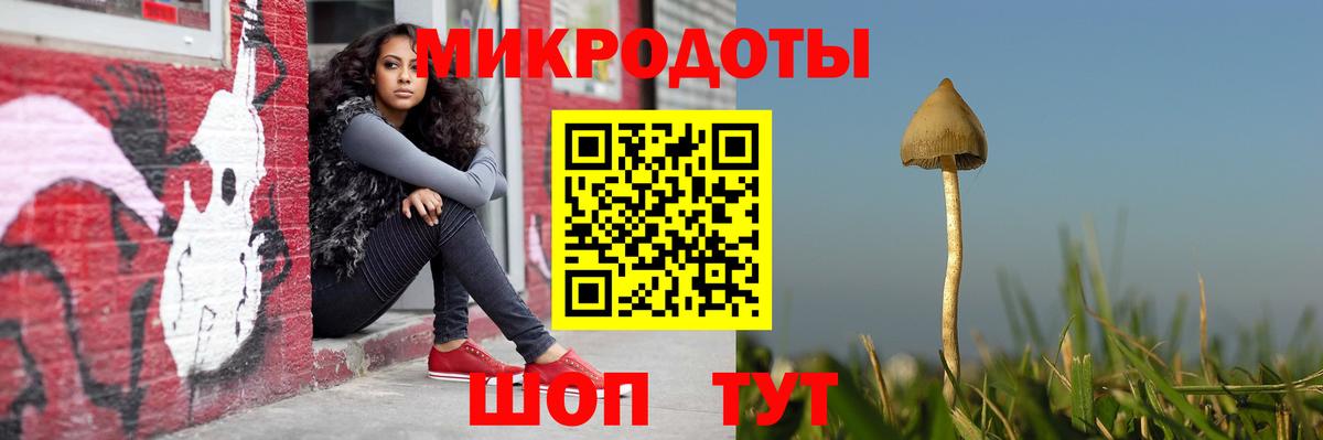 Галлюциногенные грибы GOLDEN TEACHER Ачинск